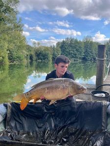 Mirror Carp