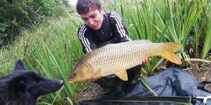 Common Carp
