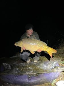 Mirror Carp