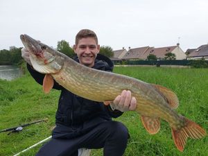 Northern Pike