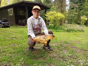 Mirror Carp