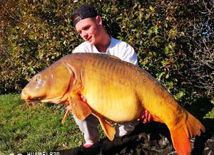 Mirror Carp