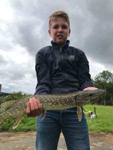 Northern Pike