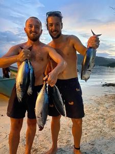 Albacore