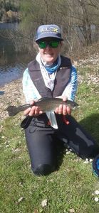 Rainbow Trout
