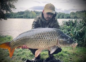 Common Carp