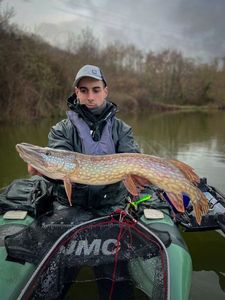 Northern Pike