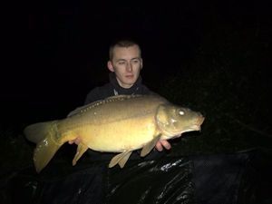 Common Carp