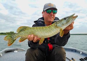 Northern Pike