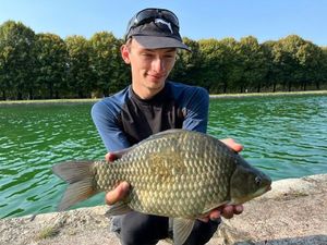 Crucian Carp