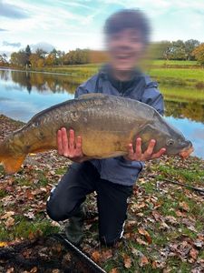 Mirror Carp