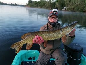 Northern Pike