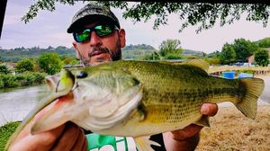 Largemouth Bass