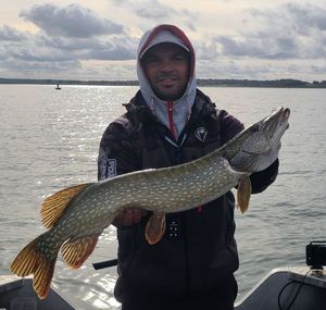 Northern Pike