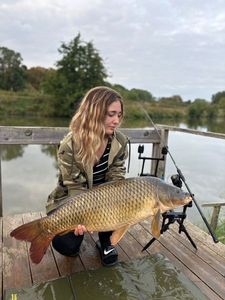 Common Carp