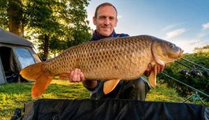 Common Carp