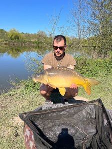 Mirror Carp