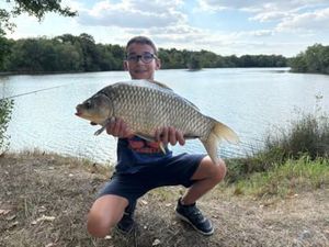 Crucian Carp