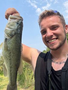 Largemouth Bass