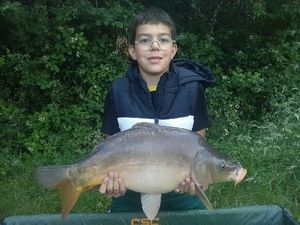Mirror Carp