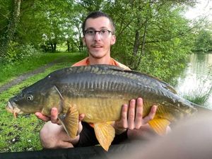 Mirror Carp