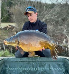 Mirror Carp