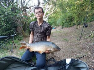 Mirror Carp
