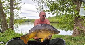 Mirror Carp
