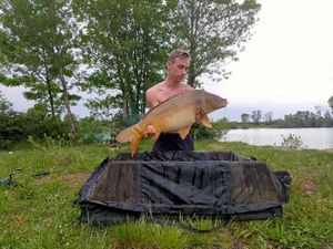 Mirror Carp