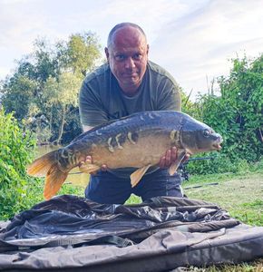 Mirror Carp