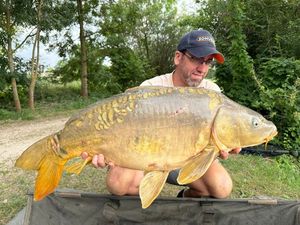 Mirror Carp