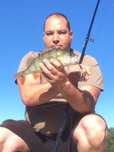 European Perch
