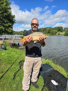 Mirror Carp