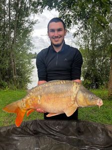 Mirror Carp