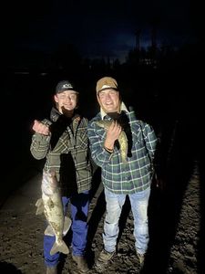 Burbot
