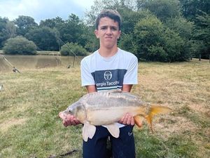 Mirror Carp