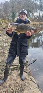 Largemouth Bass