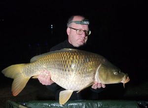 Common Carp