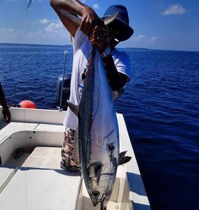 Dogtooth Tuna