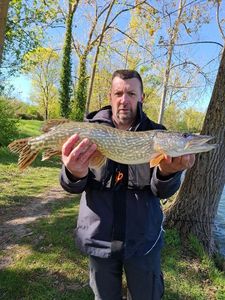 Northern Pike