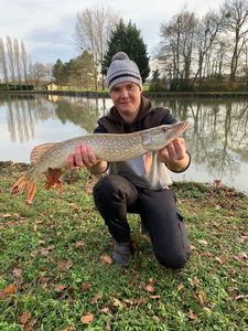 Northern Pike