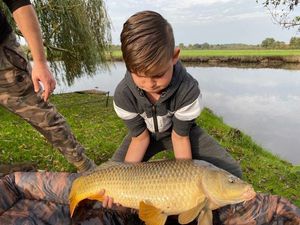 Common Carp