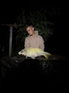 Koï Fish