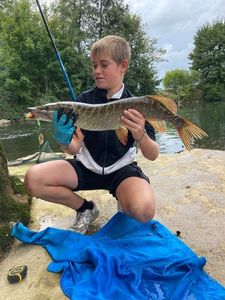 Northern Pike