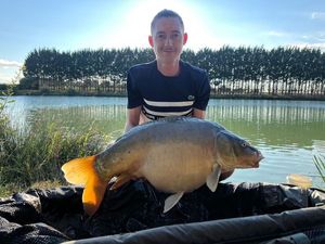 Mirror Carp