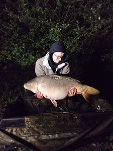 Mirror Carp