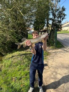 Northern Pike