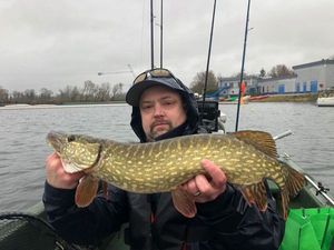 Northern Pike