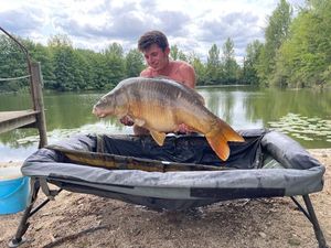 Mirror Carp