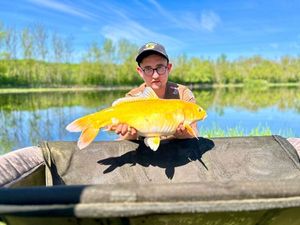 Koï Fish